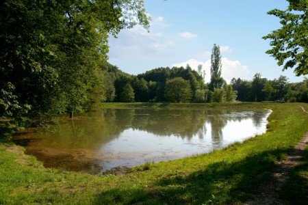 letohradek-a-obora-hvezda